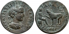 MYSIA. Parium. Severus Alexander (222-235). Ae. 

Obv: IMP CAEƧ L ƧEP ƧEV ALEXANDER. 
Laureate bust right, with aegis on cuirass.
Rev: DEO AЄ ƧVB ...