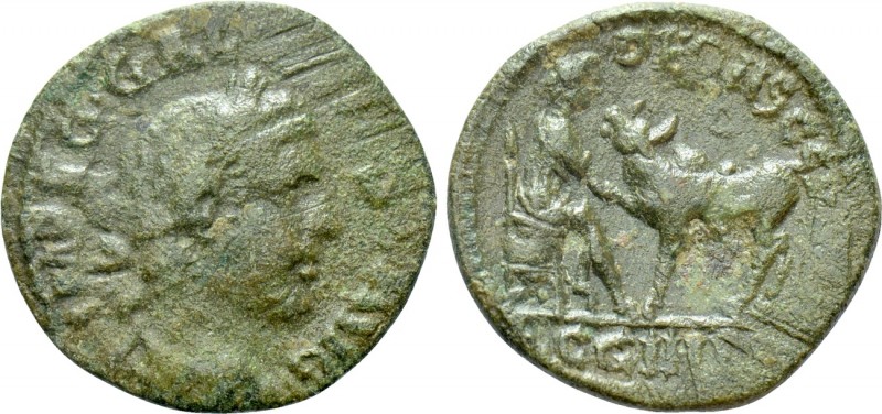 MYSIA. Parium. Gallienus (253-268). Ae. 

Obv: IMP LIC GALLIENVS AVG. 
Laurea...