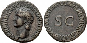 GERMANICUS (Died 19). As. Rome. Struck under Caligula. 

Obv: GERMANICVS CAESAR TI AVG F DIVI AVG N. 
Bare head left.
Rev: C CAESAR DIVI AVG PRON ...