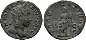 SEVERUS ALEXANDER (222-235). Dupondius. Rome. 

Obv: IMP ALEXANDER PIVS AVG. 
Radiate bust right, with slight drapery.
Rev: PROVIDENTIA AVG / S - ...