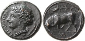 Bronze Æ
Sicily, Syracuse, Agathokles (317-289 BC), Head of Arethusa left / Bull
17 mm, 3,50 g
HGC 1489