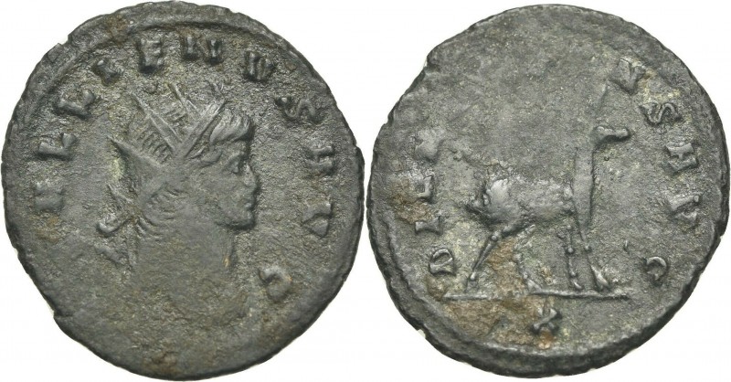 Antoninian Æ
Galienus (260-268), Rome
24 mm, 2,89 g