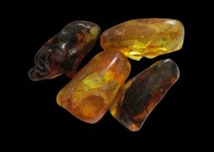 Baltic Amber, 4 cm, 20 g