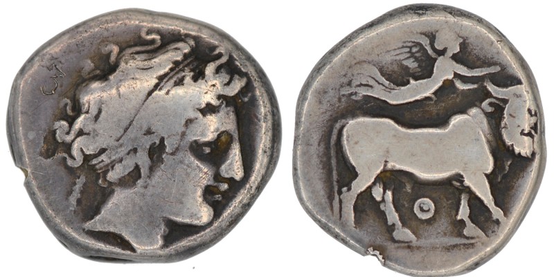 Campania, Neapolis. Circa 300-275 BC. AR Nomos (18mm, 7.04 g, 9h). Head of nymph...
