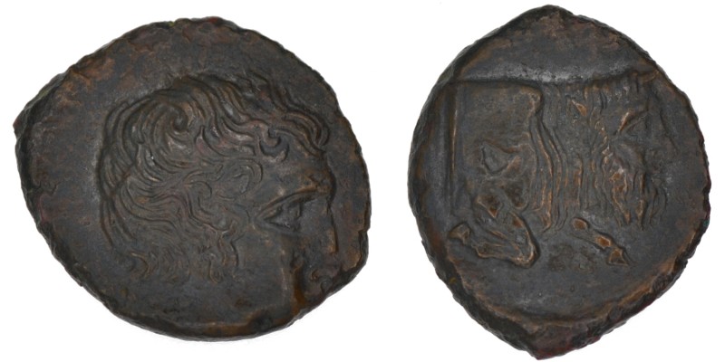 Sicily, Agyrion. Circa 420-405 BC. Æ Hemilitron (19mm, 4.90g, 9h). Head of young...