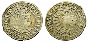Sigismund I the Old, Groschen for Prussia 1530, Thorn