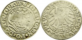 Zygmunt I Stary, Grosz dla ziem pruskich 1531, Toruń
