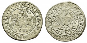 Sigismund II Augustus, Halfgroat 1548, Vilnius