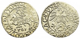 Sigismund II Augustus, Halfgroat 1561, Vilnius