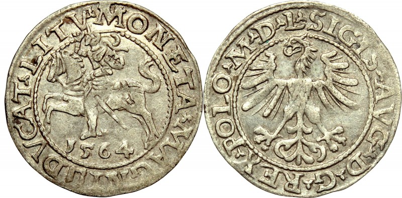 Sigismund II Augustus, Halfgroat 1564, Vilnius - L/LITV Ładny egzemplarz. Dość d...