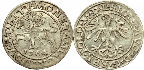Sigismund II Augustus, Halfgroat 1564, Vilnius - L/LITV