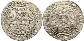 Sigismund II Augustus, Halfgroat 1565, Vilnius - L/LITV