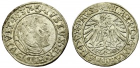 Germany, Preussen, Albrecht Hohenzollern, Groschen 1537, Konigsberg