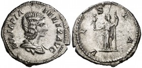 (213 d.C.). Julia Domna. Denario. (Spink 7108) (S. 230) (RIC. 390, de Caracalla). 2,99 g. Pequeña grieta. Bella. EBC-.