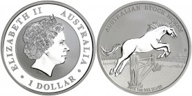 2015. Australia. Isabel II. P (Perth). 1 dólar. (Kr. falta). 31,16 g. AG. Caballo australiano. Prooflike.