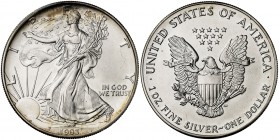 1993. Estados Unidos. Filadelfia. 1 dólar. (Kr. 273). 31,24 g. AG. S/C.