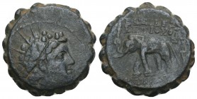 Ancient Greek Coins - Antioch - Antiochos VI - Elephant Unit 144-142 BC. 7.6GR 21.5MM
 Obv: radiate and diademed head of Antiochos VI right. Rev: BASI...