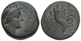 Greek
CILICIA, Soloi. Circa 100-30 BC. Æ 5.2 gr 18.7mm Head of Artemis right, wearing stephane / Double cornucopia. SNG BN 1209; SNG Levante 865 var. ...