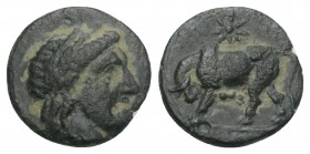 Greek Coins MYSIA. Gambrion. Ae (4th century BC). 0.8gr 10.2mm
 Obv: Laureate head of Apollo right. Rev: Bull butting left; star above. BMC 17; SNG Co...