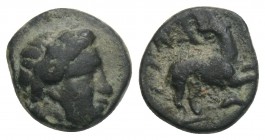 GREEK. LESBOS HEKATONESAI ? AE 0.8gr 9.5mm 4th century BC BC: head of Apollo to the right Rev .: Dog turning to the left. About it IT. Lindgren II 432...