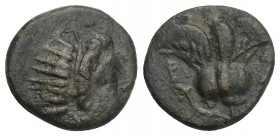 Greek Islands off Caria, Rhodos. Rhodes. Early 2nd century B.C. AE 11 (12.1 mm, 1.4 g, ). Radiate head of Helios right / P-O, rose.