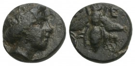 TROAS. Gentinos. Ae (4th century BC).
Obv: Laureate head of Apollo right.
Rev: Γ - Ε / Ν - Τ.
Bee; star below; all within wreath.
SNG von Aulock 7...