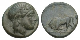 SELEUKID KINGS of SYRIA. Seleukos II Kallinikos. 246-225 BC. Æ (21mm, 1.0 gr 10.2 mm). 
Laureate head of Apollo right / Bull butting left; above head....