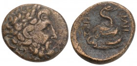 Greek Mysia. Pergamon circa 133-27 BC. Bronze Æ 21.8 mm, 7.4 g
 Laureate head of Asklepios right / ΑΣΚΛΗΠΙΟΥ ΣΩΤΗΡΟΣ, serpent coiled around omphalos. ...