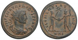 Roman Imperial Probus BI Antoninianus. Tripolis, AD 276. 4.3GR 21.8mm
IMP C M AVR PROBVS PF AVG, radiate, draped bust to right / CLEMENTIA TEMP, Probu...