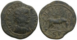 Roman Provincial Coins Gallienus Æ 29mm of Antioch, Pisidia. AD 253-268.
 IMP CA GALIHNVS PIVS radiate,draped and cuirassed bust to right /ANTIOCH CL,...