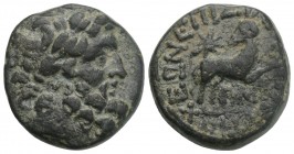 Roman Provincial Seleucis and Pieria. Antioch. Augustus 27 BC-AD 14. Bronze Æ 19.4mm., 7,4g.
Q. Caecilius Metellus Creticus Silanus, legatus propraeto...