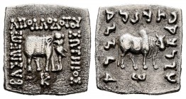 Kings of Bactria. Apollodotos I Soter. Drachm. 180-160 BC. (Bopearachchi-4E). (Hgc-12, 119). Anv.: ΒΑΣΙΛΕΩΣ ΑΠΟΛΛΟΔΟΤΟΥ ΣΩΤΗΡΟΣ. Elephant standing rig...