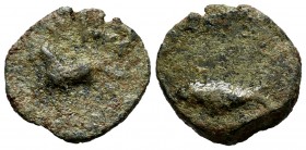 Balsa. Cuadrante. 50 BC. Tavira (Portugal). (Gomes-16.03). Anv.: Horse trotting left, above BALSA. Rev.: Tuna on the left, above BA?. Ae. 3,96 g. Scar...
