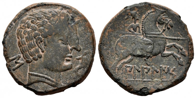 Bilbilis. Unit. 120-30 BC. Calatayud (Zaragoza). (Abh-245). Anv.: Male head righ...