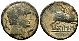 Borneskon. Unit. 120-80 BC. Area of Aragon. (Abh-295). (Acip-1584). Anv.: Male head to the right, surrounded by three dolphins. Rev.: Horseman palm to...