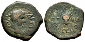 Calagurris. Half unit. 27 BC.-14 AD. Calahorra (La Rioja). Época de Augusto. (Abh-426). (Acip-3123). Anv.: Laureate head of Augustus on the right, aro...