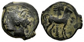 Carthage Nova. 1/2 calco. 400-350 BC. Cartagena (Murcia). (Abh-507). Anv.: Wreathed head of Tanit to left. Rev.: Horse standing to right before palm t...