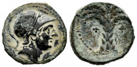 Carthage Nova. Calco. 220-215 BC. Cartagena (Murcia). (Abh-518). (Acip-581). Anv.: Helmeted male head right . Rev.: Palm tree with fruits. Ae. 5,88 g....