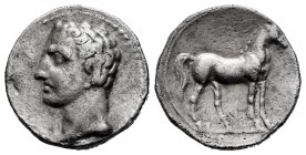 Carthage Nova. 1/2 shekel. 220-205 BC. Cartagena (Murcia). (Abh-542). (Acip-604). Anv.: Male head right. Rev.: Horse standing right. Ag. 3,58 g. Scarc...
