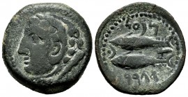 Gades. Unit. 100-20 BC. Cadiz. (Abh-1340). Anv.: Head of Herakles left, behind club. Rev.: Two tuna to the left, above and below Punic legend type B, ...