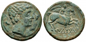 Iltirta. Unit. 220-200 BC. Lleida (Cataluña). (Abh-1465). (Acip-1249). Anv.: Male bust right flanked by three dolphins. Rev.: Horseman with palm right...