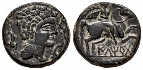 Iltirta. Unit. 220-200 BC. Lleida (Cataluña). (Abh-1465). Anv.: Male head right, around three dolphins. Rev.: Horseman right with palm and clamid, bel...