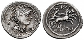 Lucilia. M. Lucilius Rufus. Denarius. 101 BC. Norte de Italia. (Ffc-821). (Craw-324/1). (Cal-909). Anv.: P.V., behind head of Roma right, within laure...