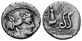 Volteius. M. Volteius M.f. Denarius. 78 BC. Rome. (Ffc-1231). (Craw-385/5). (Cal-1393). Anv.: Head of Liber or Bacchus right, wearing ivy-wreath. Rev....