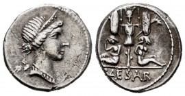 Julius Caesar. Denarius. 46-45 BC. Galia. (Ffc-11). (Craw-468/1). (Cal-645). Anv.: Diademed head of Venus right, Cupid on shoulder. Rev.: Gallia and a...