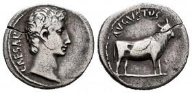Augustus. Denarius. 21-20 BC. Samos. (Ffc-19). (Ric-475). (Cal-821). Anv.: CAESAR bare head of Augustus right. Rev.: AVGVSTVS above heifer right. Ag. ...