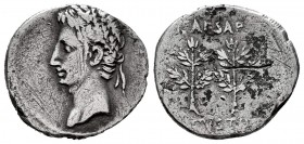 Augustus. Denarius. 19-18 BC. Caesar Augusta (Zaragoza). (Ffc-31). (Ric-33b). (Cal-708). Anv.: Head laureate or oak of Augustus left. Rev.: CAESAR AVG...