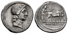 Augustus. Denarius. 29-27 BC. (Ffc-92). (Ric-272). (Cal-674). Anv.: Laureate head of Apollo right. Rev.: Augustus as pontifix, ploughing right, IMP. C...