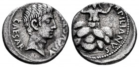 Augustus. P. Petronius Turpilianus. Denarius. 18 BC. Rome. (Ffc-317). (Ric-299). (Cal-1089). Anv.: CAESAR AVGVSTVS bare head of Augustus right. Rev.: ...