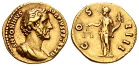 Antoninus Pius. Aureus. 148-149 AD. Rome. (Ric-177c). (Ch-235). (Cal-1500). Anv.: ANTONINVS AVG PIVS P P TR P XII, bareheaded and cuirassed bust of An...